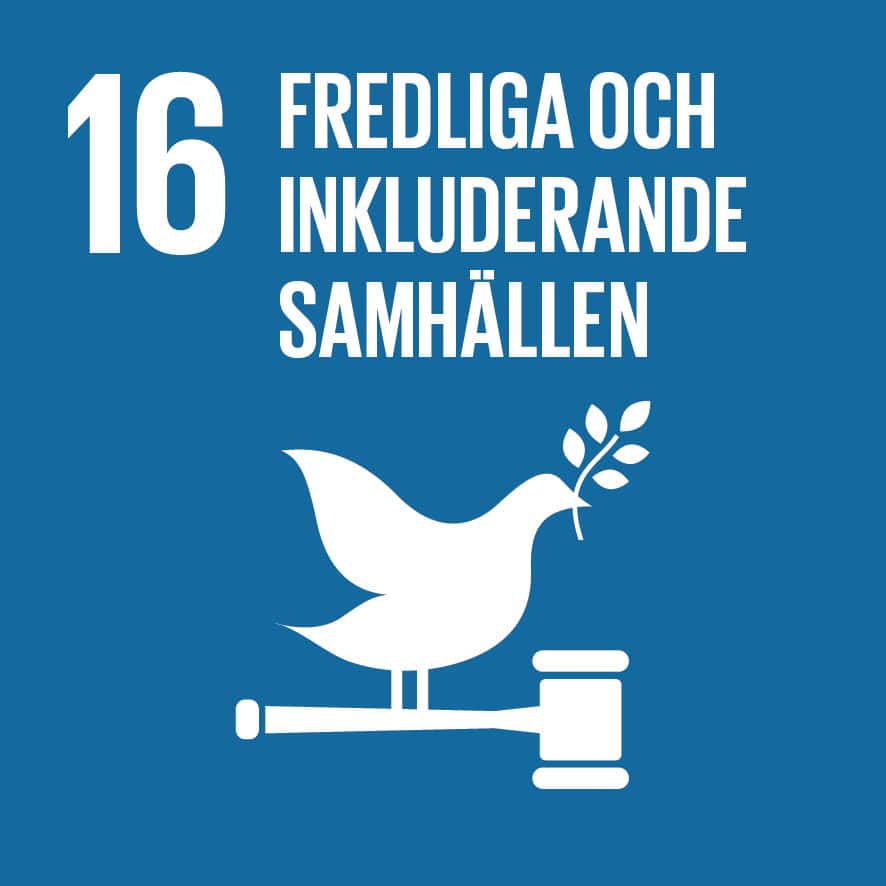 Ett vitt duvhöjd med en olivkvist, symbol för fred och hållbarhet, mot blå bakgrund med text om fred.